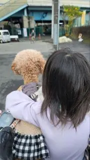 kyouの画像