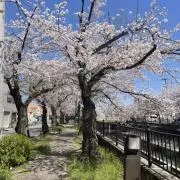 ✨価格交渉OK✨ SAの画像