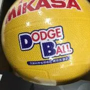 ミカサ プロフ確認の画像