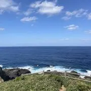 ようこの画像