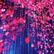 あきの画像