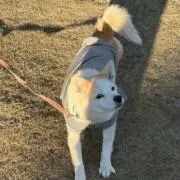 航の画像
