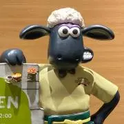 マツボックリ