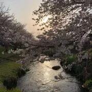 HiMの画像