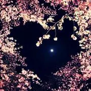 みお。