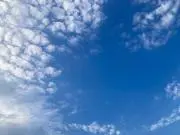 花子の画像
