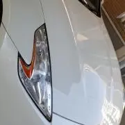 ヒワの画像