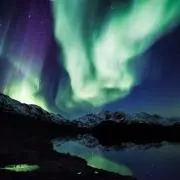 タイピの画像