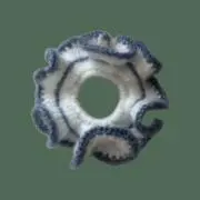 smoonの画像