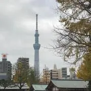 ＴA－KA5656