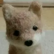 つるつる92の画像