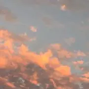 Nの画像