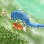 ふわふわのポケカ屋フォローで100円引