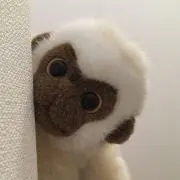 POWOWの画像
