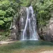 サラ（お値下げ対応してません）の画像