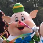 ぷぅの画像