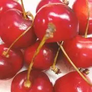 cherry☆の画像