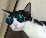 クリス