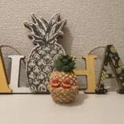 matkの画像