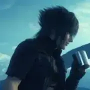 アヤメの画像