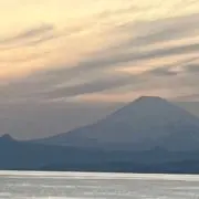 ひよっこの画像