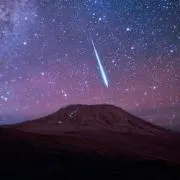 まきとんの画像