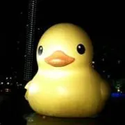 Nakamotoの画像