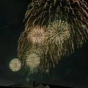 掘り出し物の画像