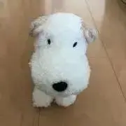 meg ※プロフ必ずご覧くださいの画像