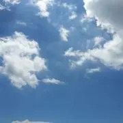 MiMiの画像