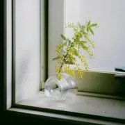 misatoの画像