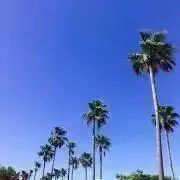 断捨離中の画像
