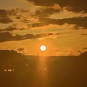 てぃむの画像