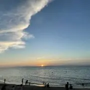 きた　次回発送10/4の画像
