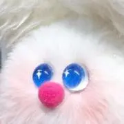 mera⟡͈の画像