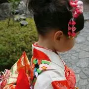 ぷりんの画像