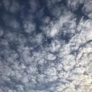 otoの画像