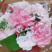 プレーゴの画像
