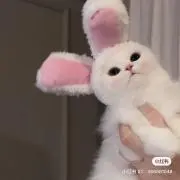 ♡♡