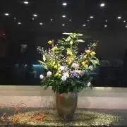 ひかり⭐︎の画像