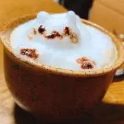 ポポの画像