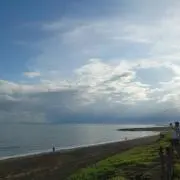 メイミー