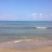 maruの画像