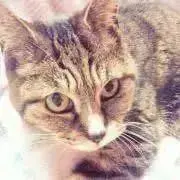 りん✩.*˚引越しセール中