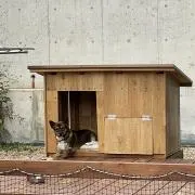ライダーママ