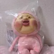 わたの画像