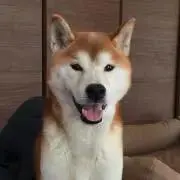 ゆうたん
