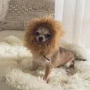 むーさん