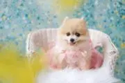 まりあ(プロフ拝読願います)の画像