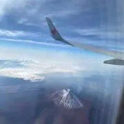 ミニマニス